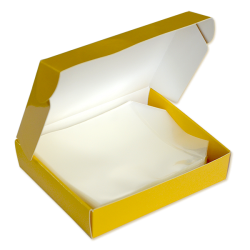 Bustina cd / dvd con flap (100 pezzi) Bustina cd / dvd con flap (100 pezzi)